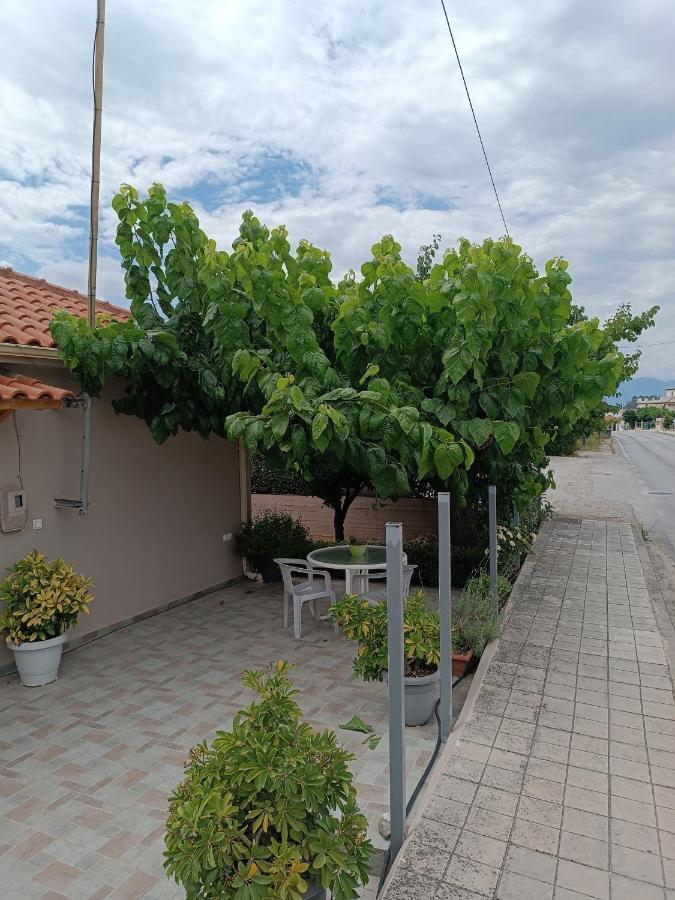 Chrysa'S House Apartment Эйон Экстерьер фото