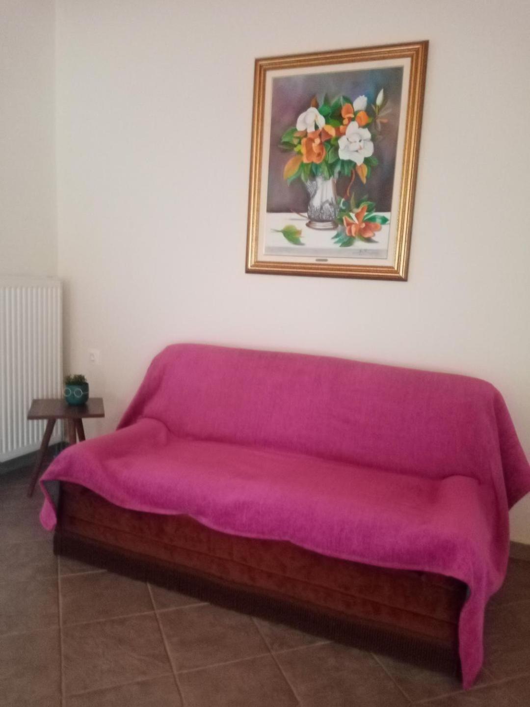 Chrysa'S House Apartment Эйон Экстерьер фото